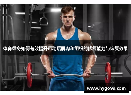 体育健身如何有效提升运动后肌肉和组织的修复能力与恢复效果